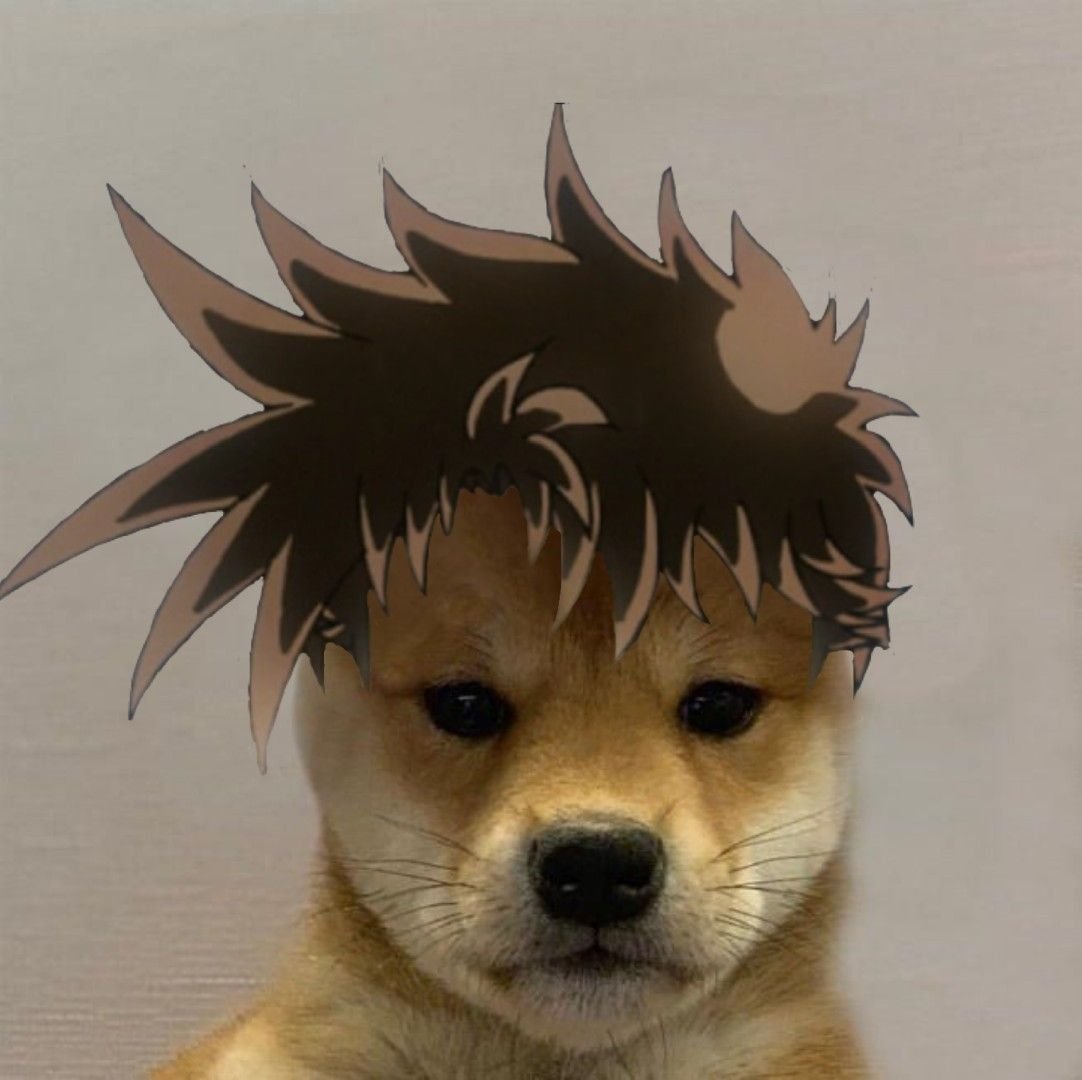 Собака Джо Джо ава