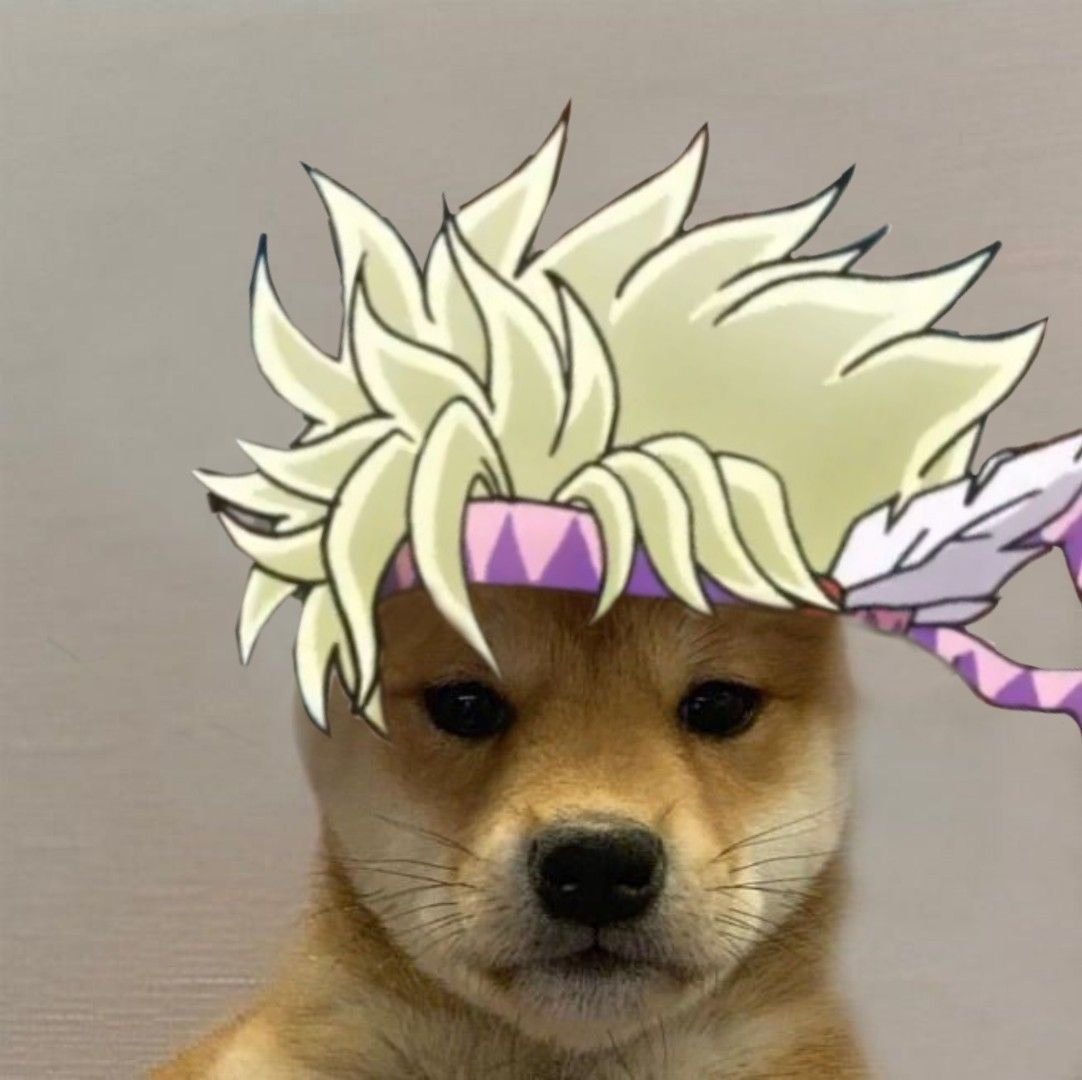 Собака Джо Джо Мем