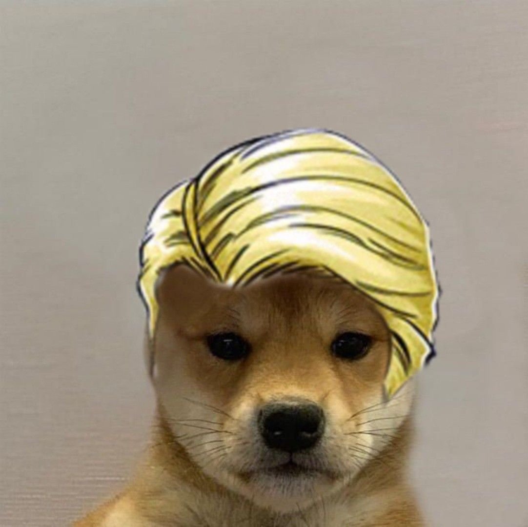 Собака Джо Джо ава