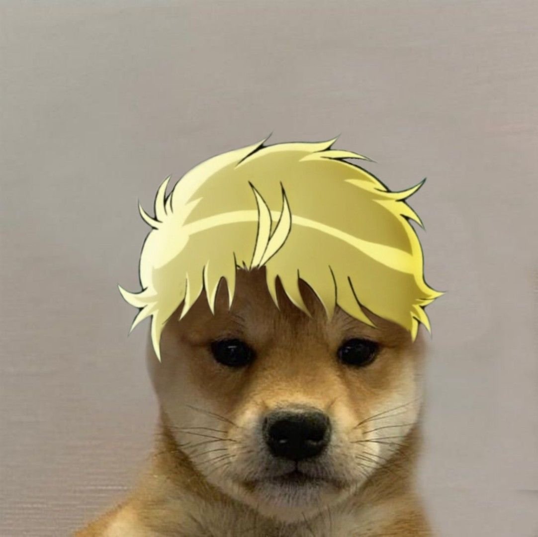 Доги Джоджо