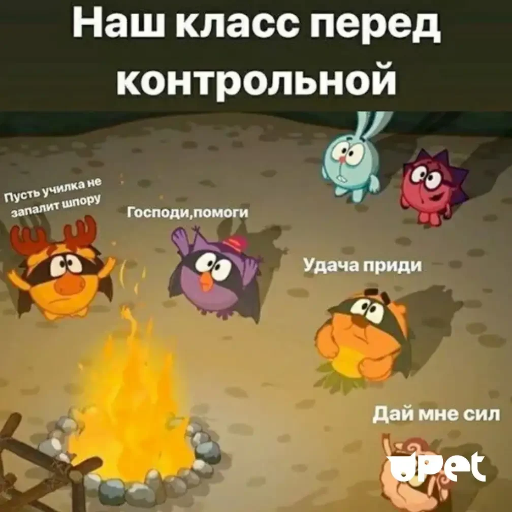 Мемы про смешариков