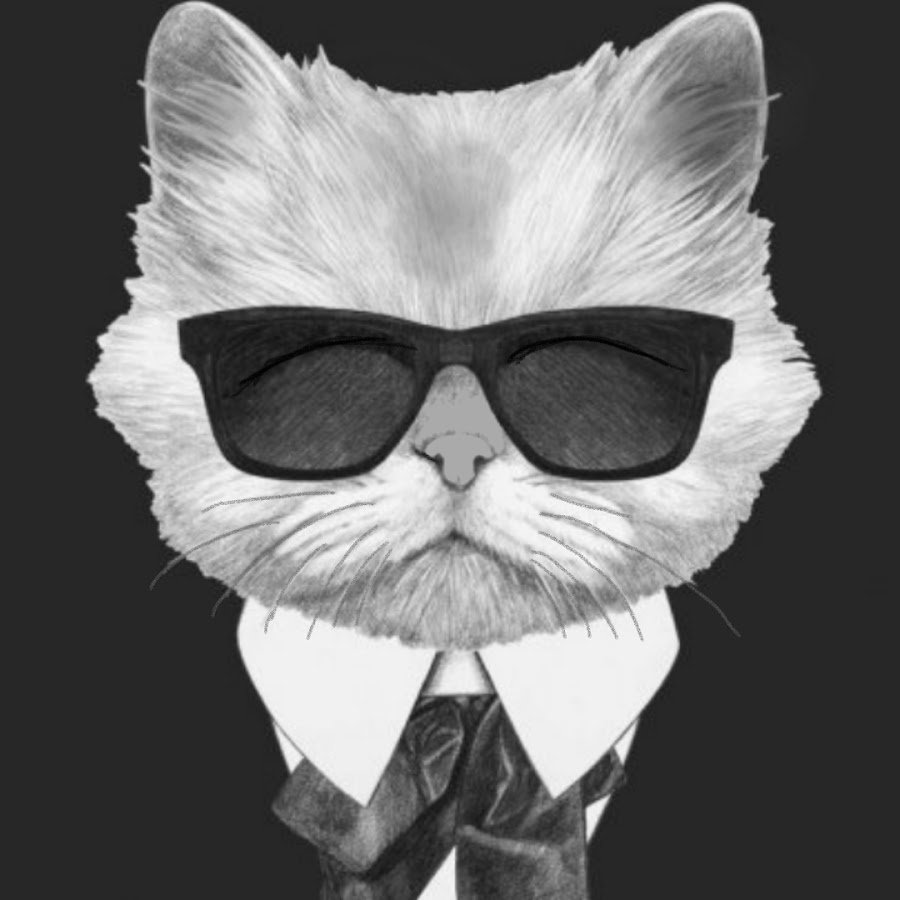 Кот в очках и костюме