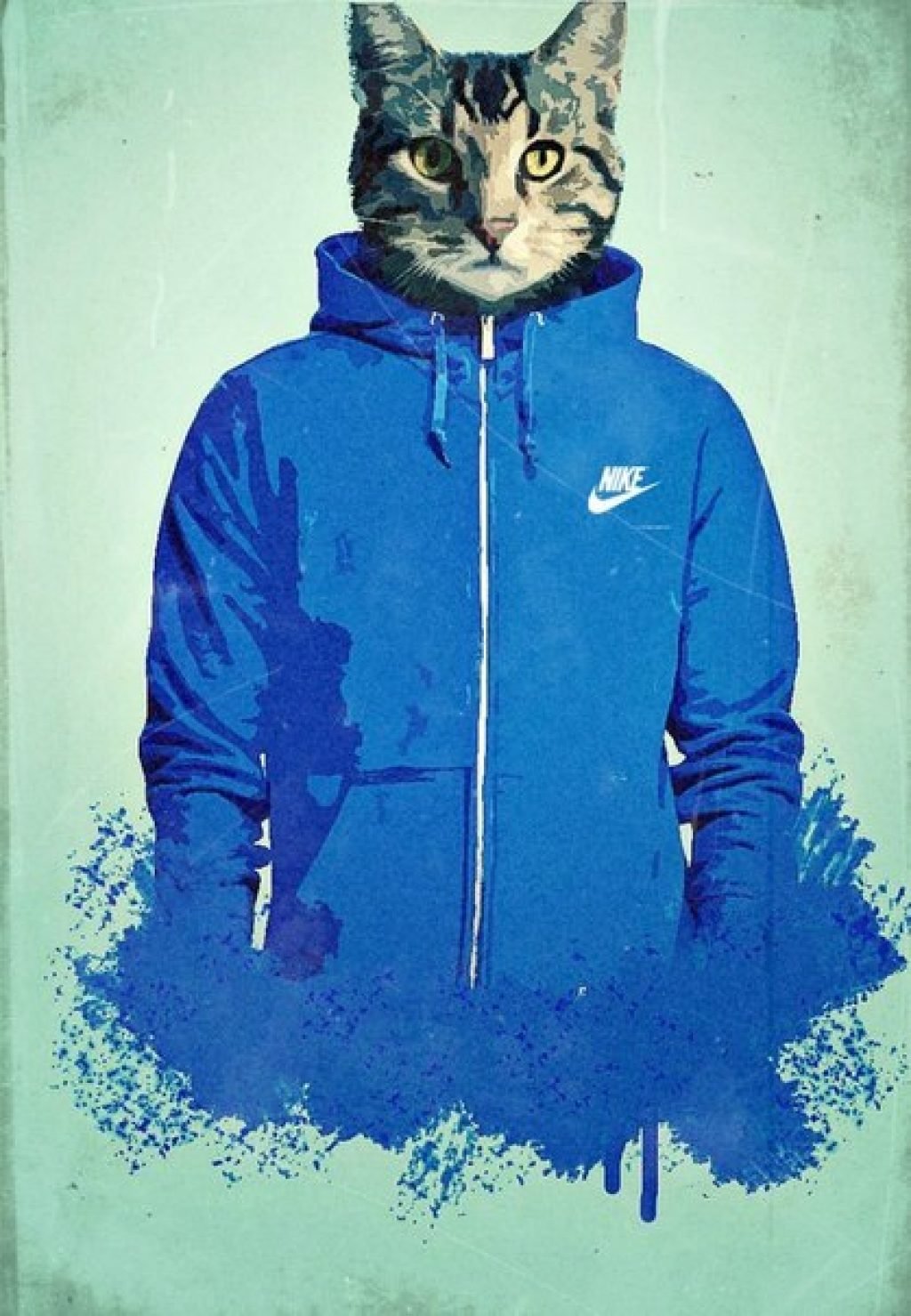 Кот в найке