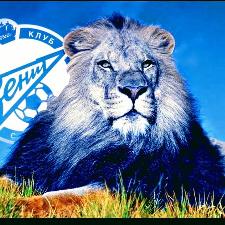 Зенит Лев эмблема