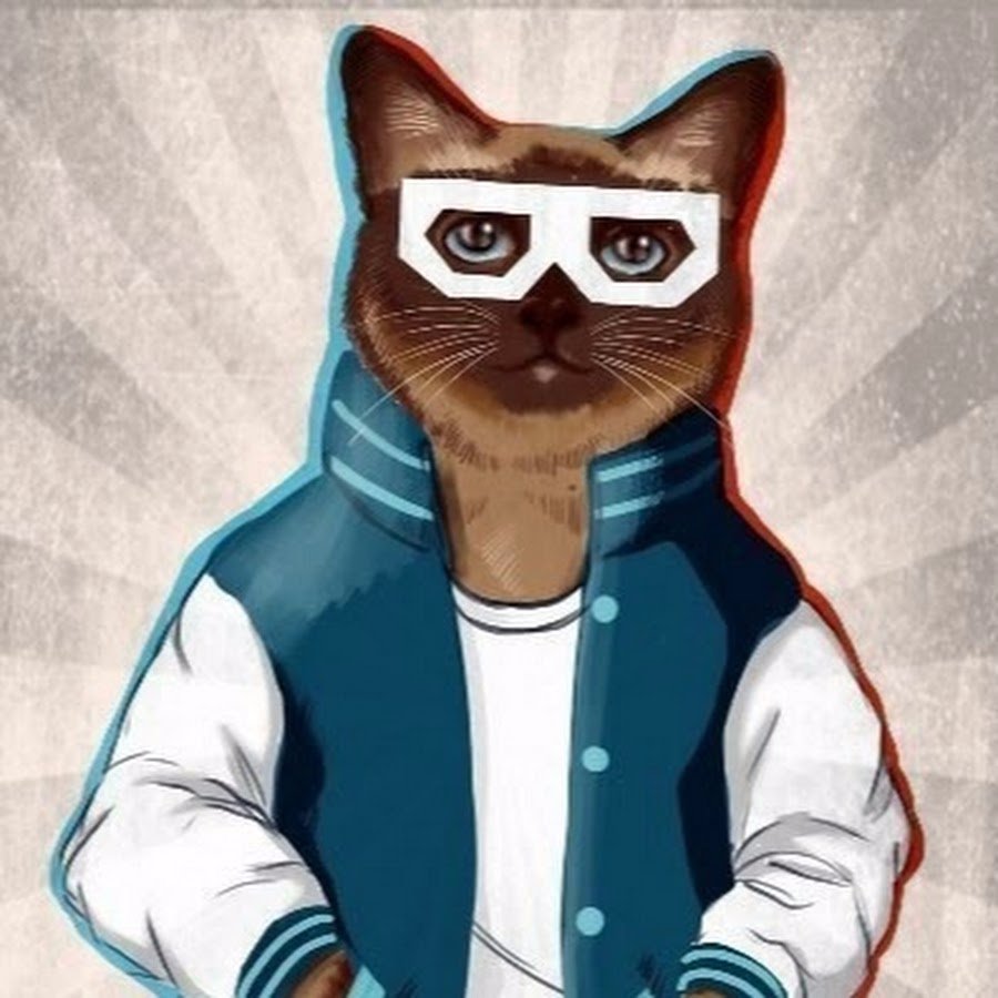 Аватарка кот