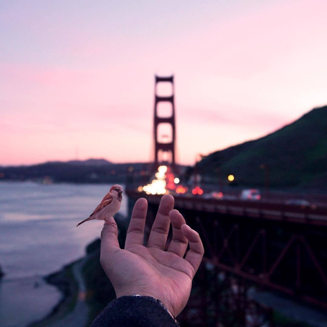 Девушка на крыше без лица