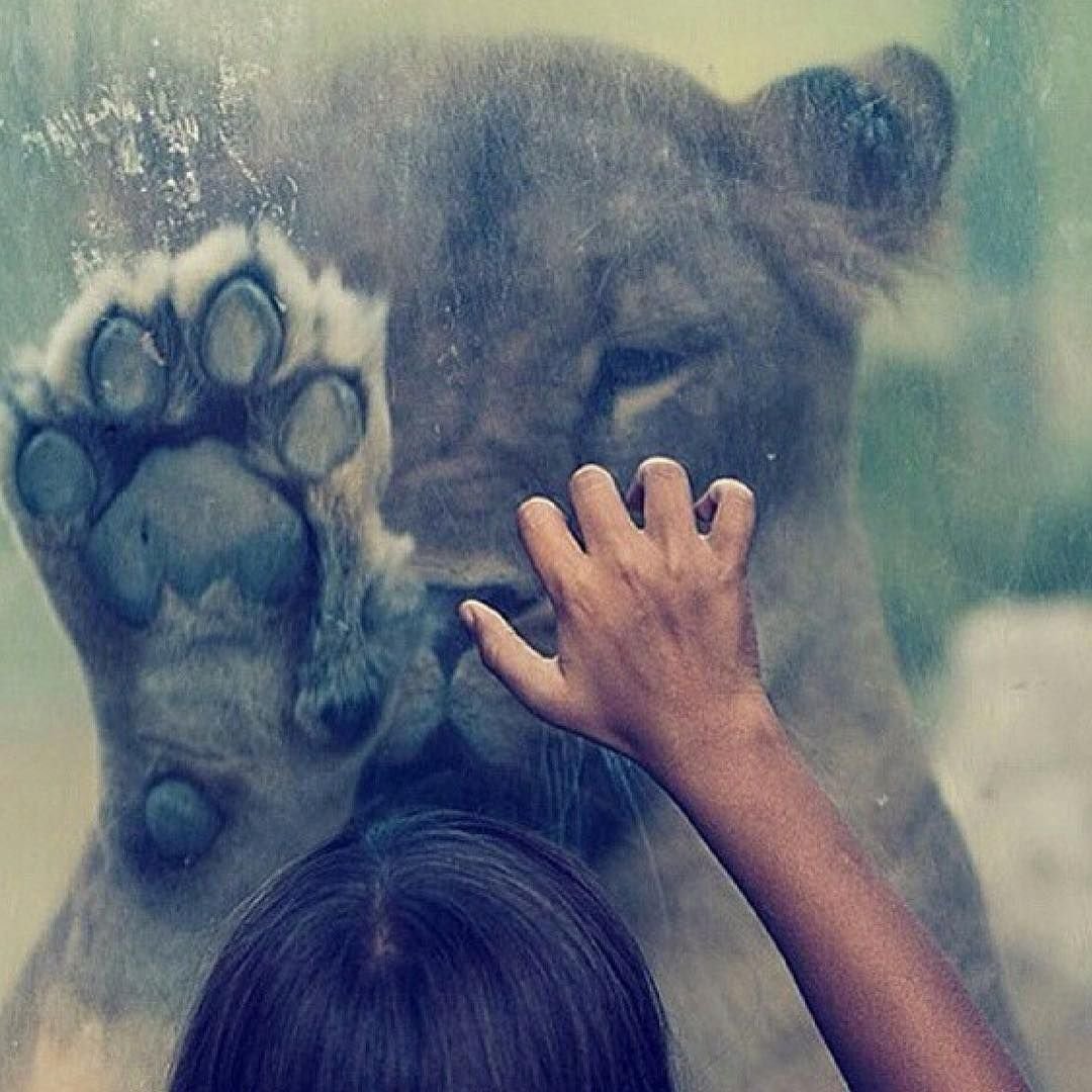 Ава со смыслом для девушек