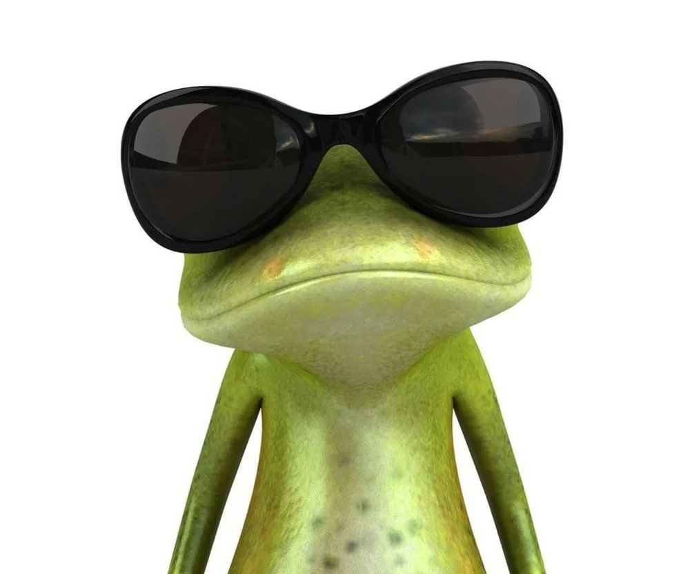 Лягушка в очках