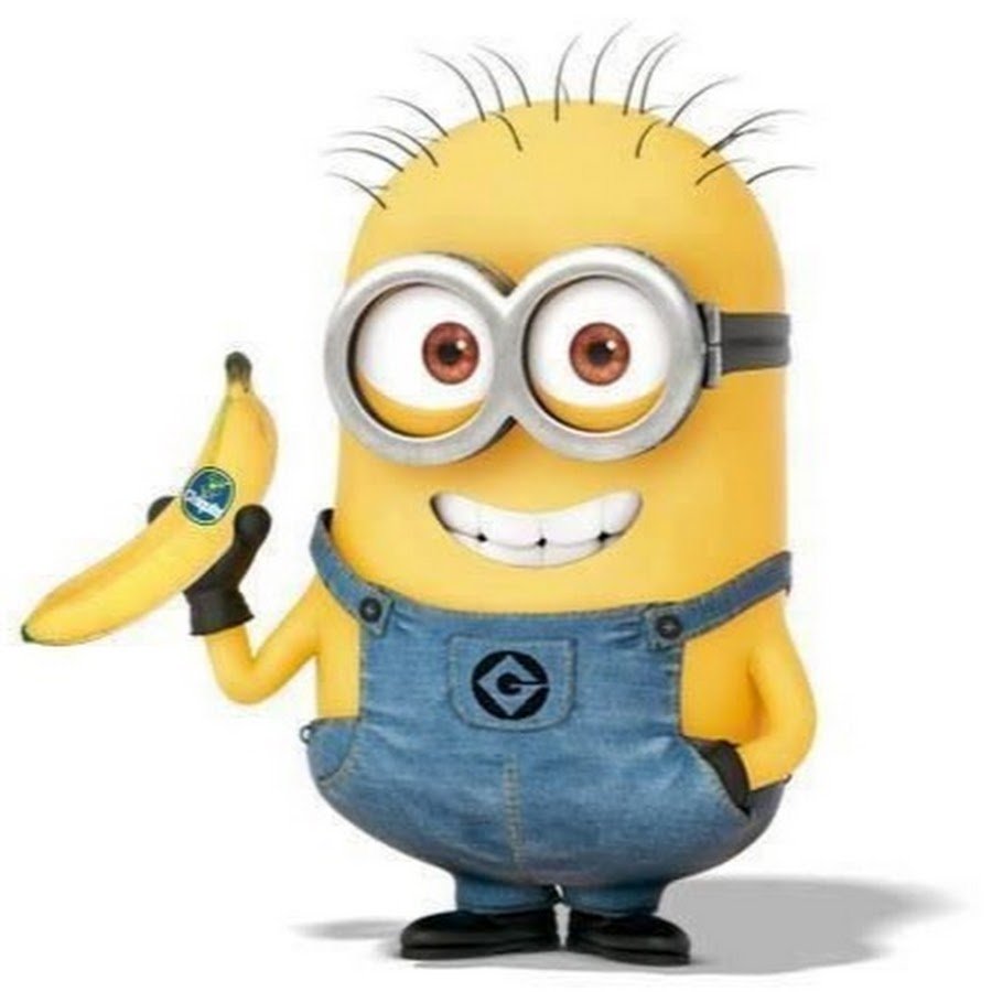 Миньон Донни