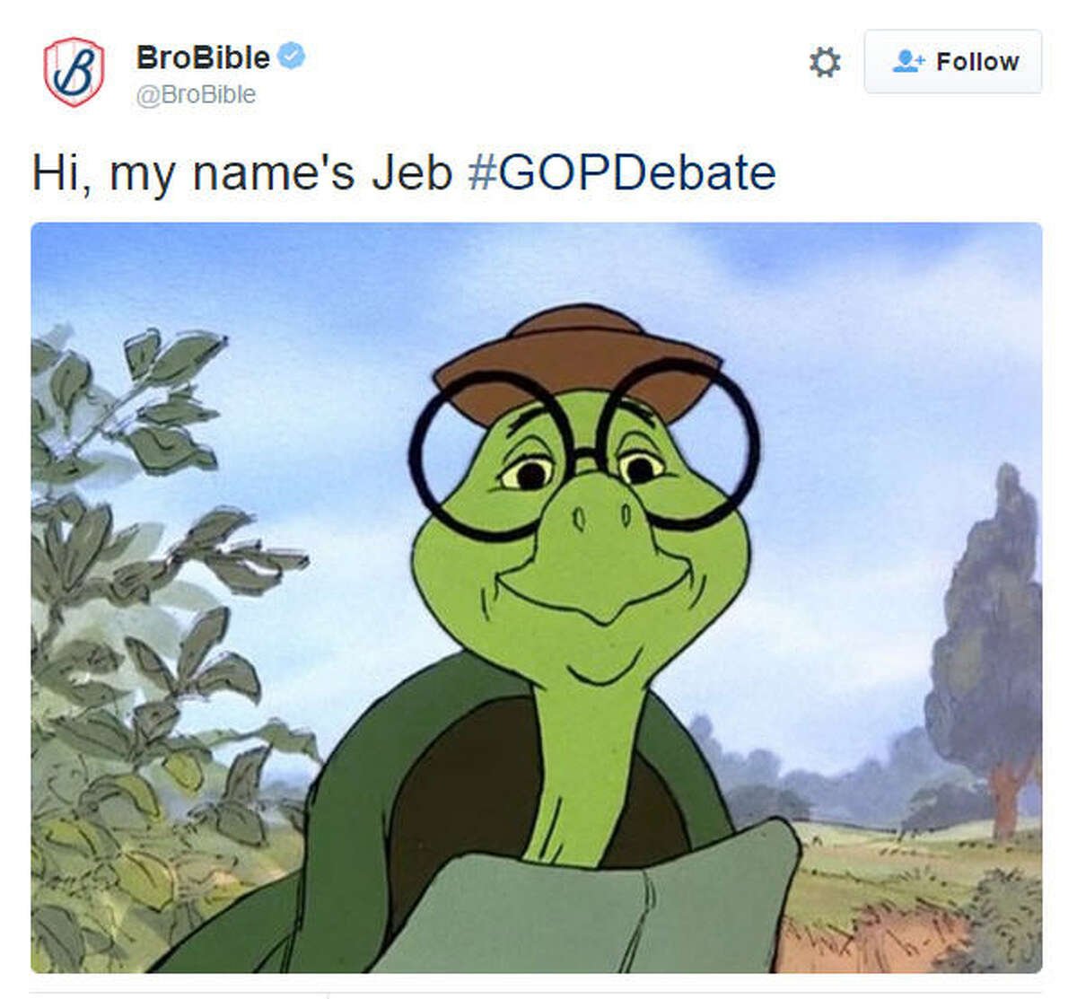 Черепаха Тортилла мультфильм