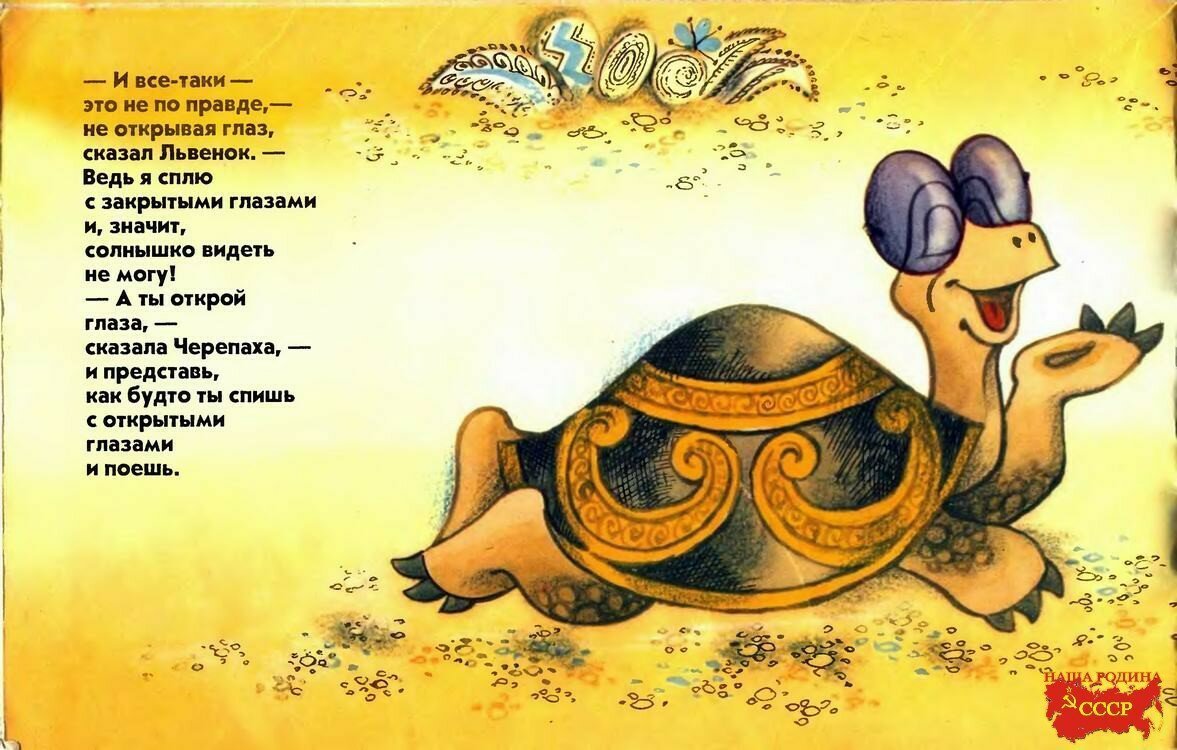 Черепаха я на солнышке лежу