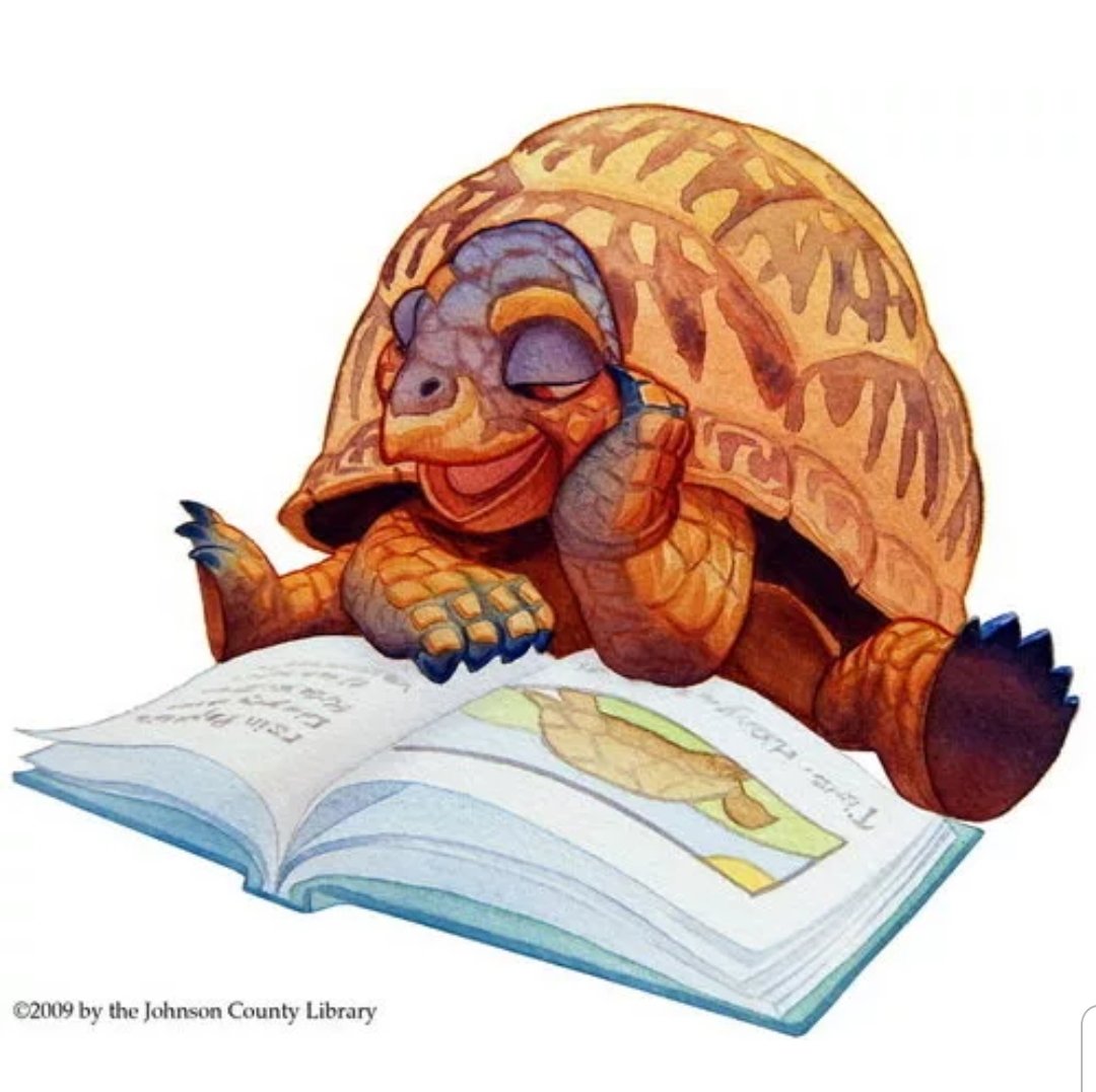 Черепаха книжка