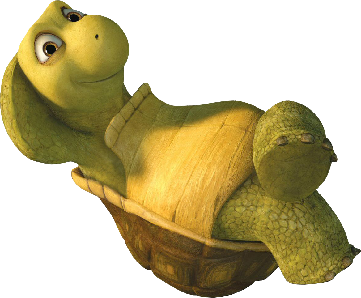Черепаха торчилла
