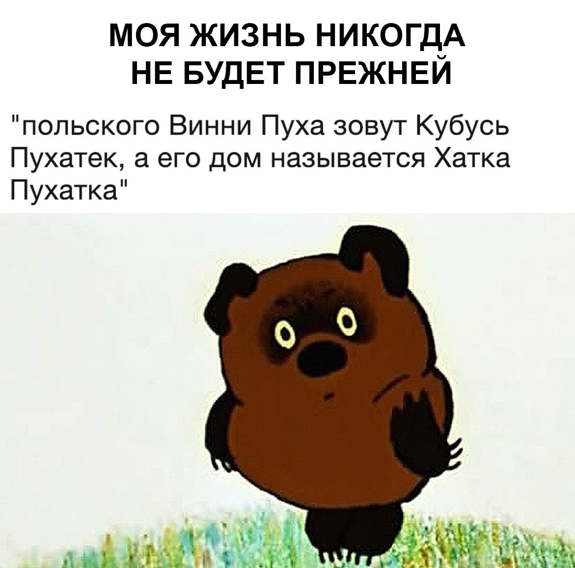 Друзья из мультиков