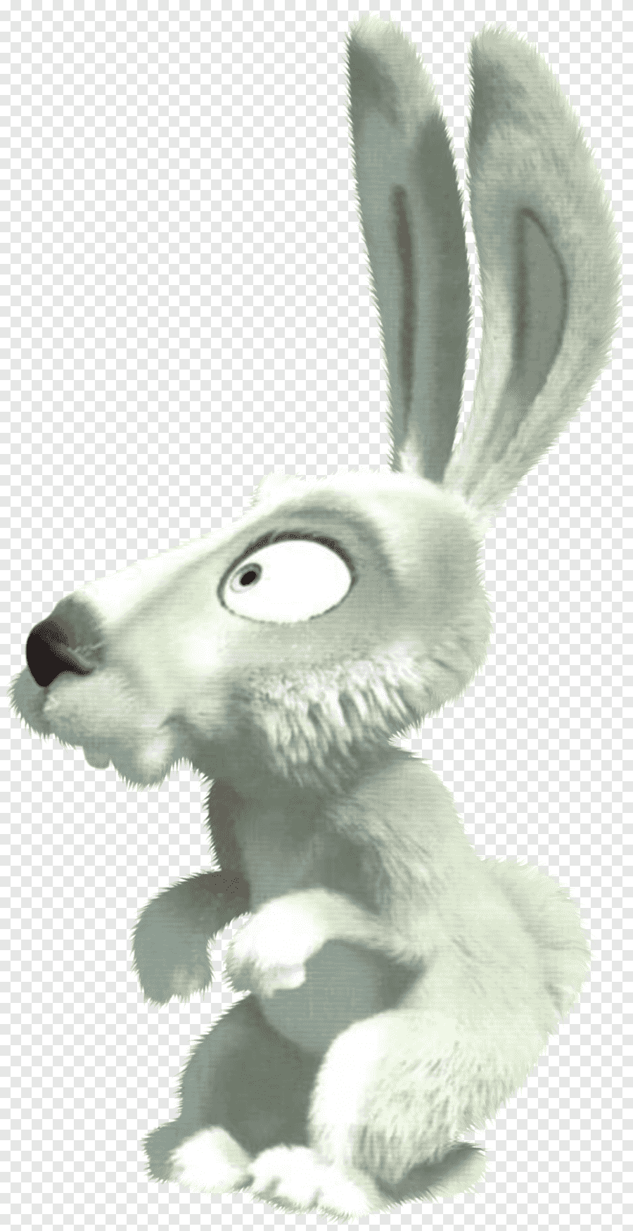 Заяц из Маши и медведя