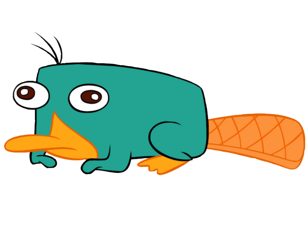 Шляпа Перри утконоса