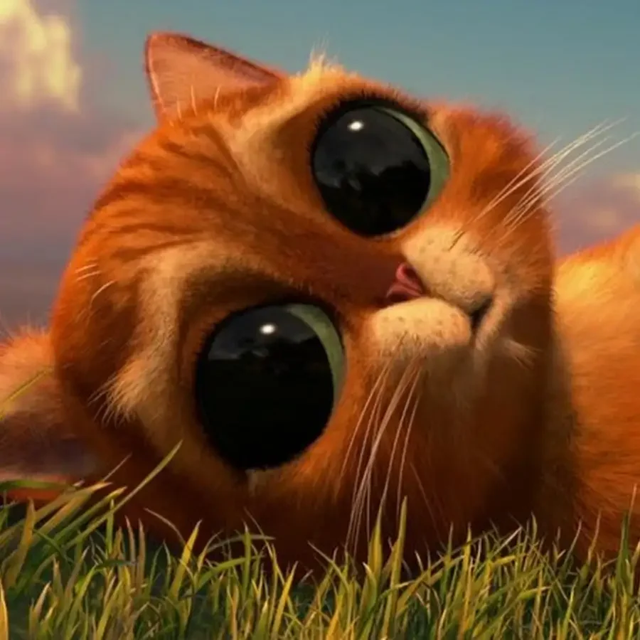 Кот Шрек глаза