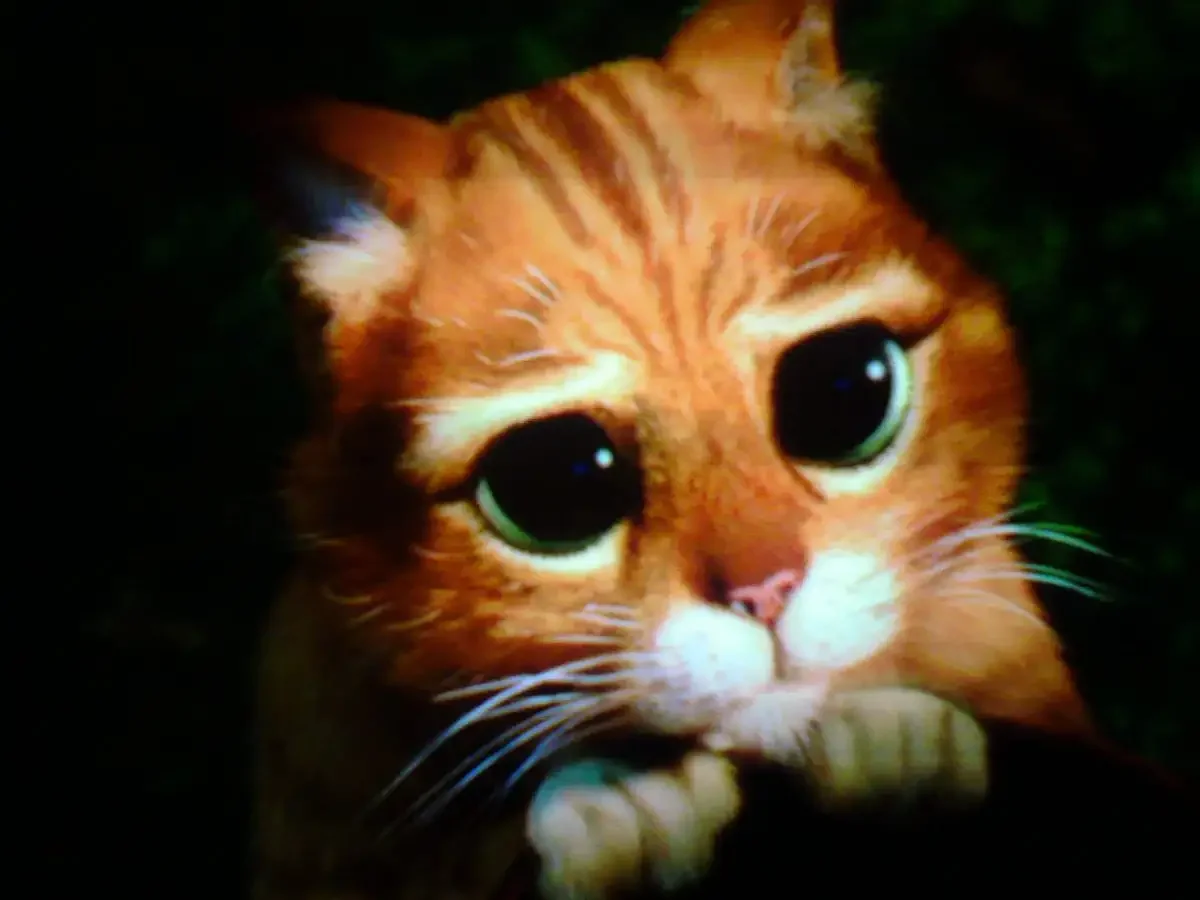 Кот из Шрека