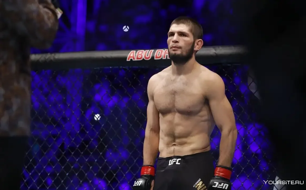 Хабиб Нурмагомедов на аву