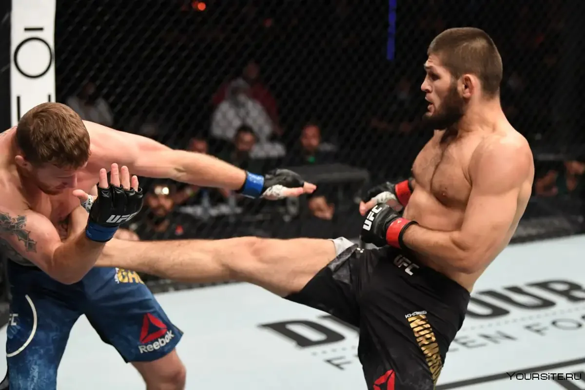 Хабиб Нурмагомедов Абу Даби