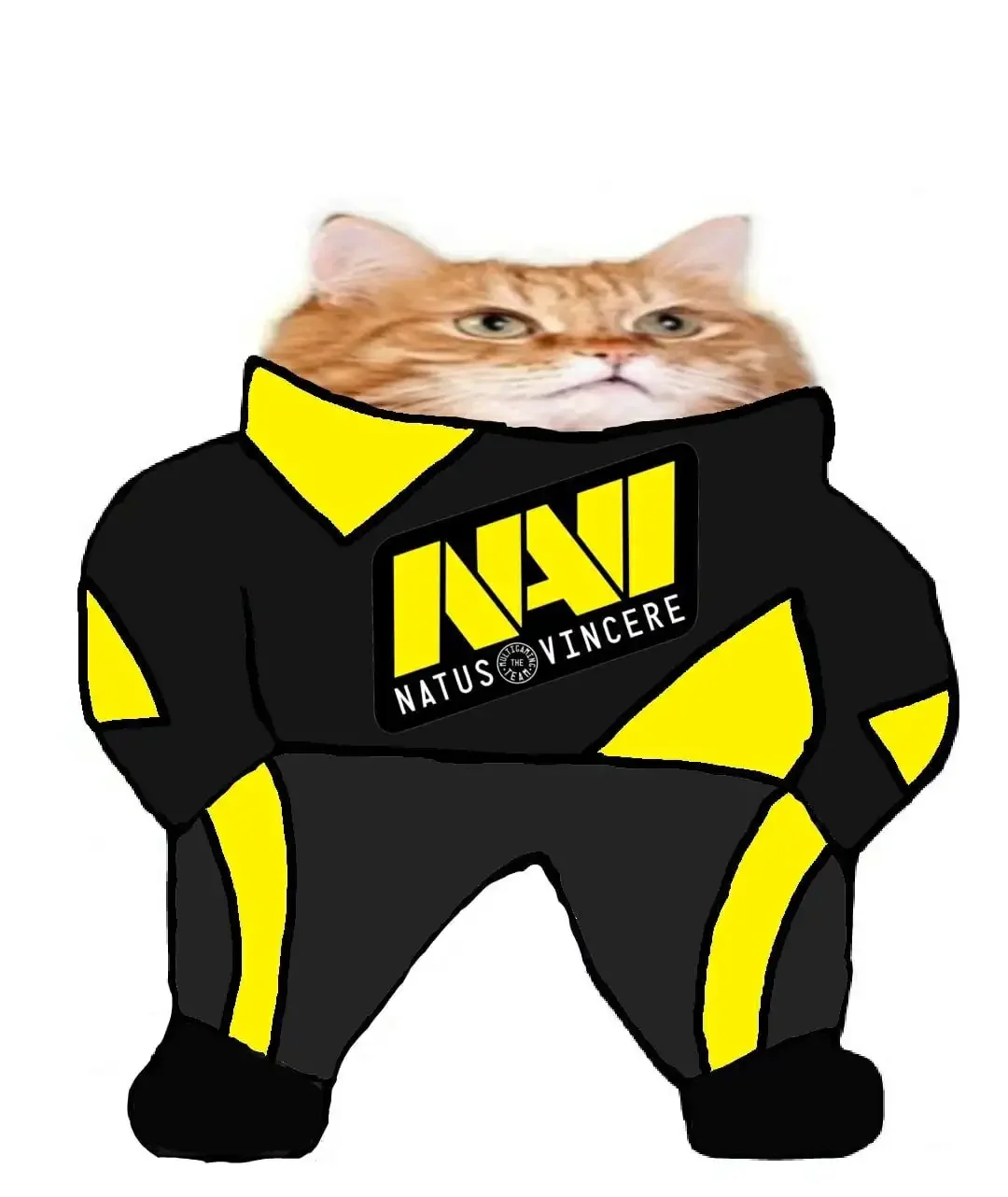 Кот ава для КС