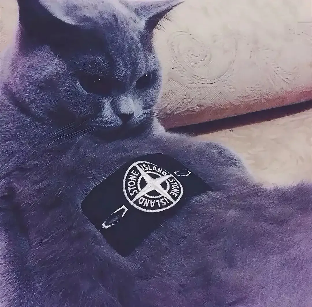 Коты ОФФНИКИ