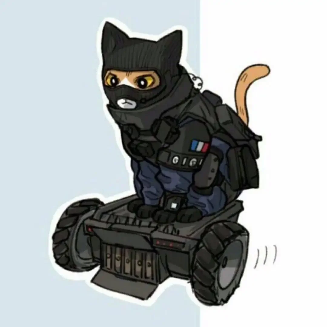 R6 Siege котики