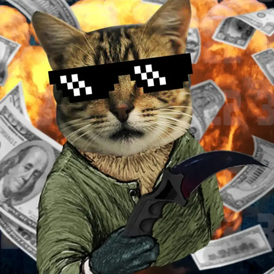 Авы котов для стандофф