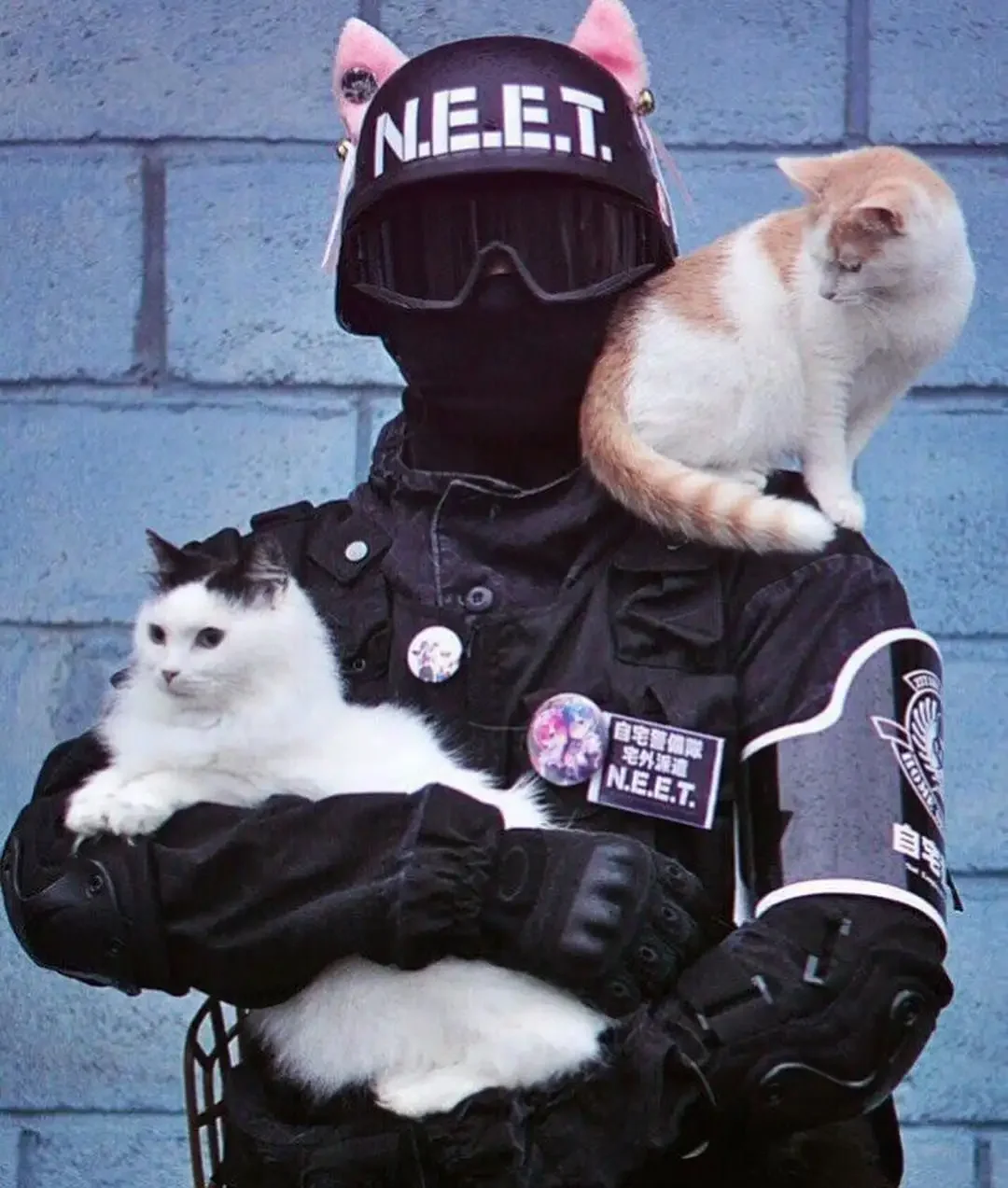 Кот в кофте спецназ для пацанов