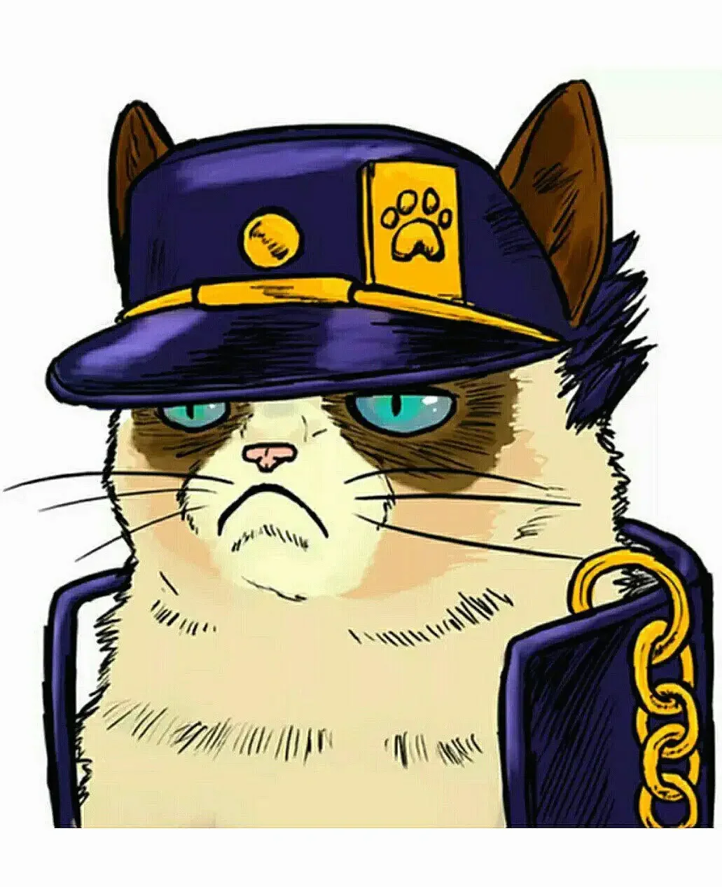 Котик на аву в стим