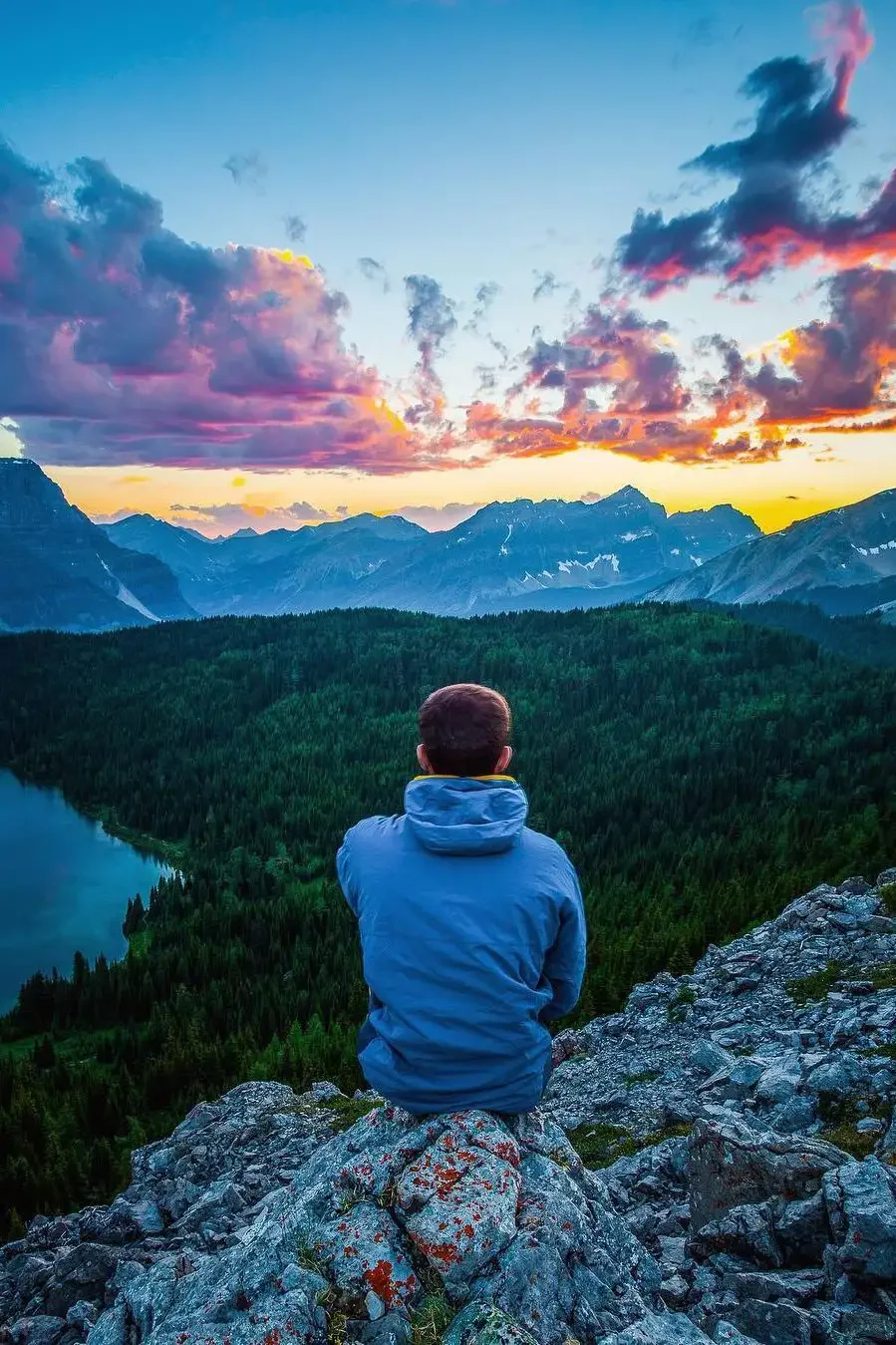 Созерцание природы