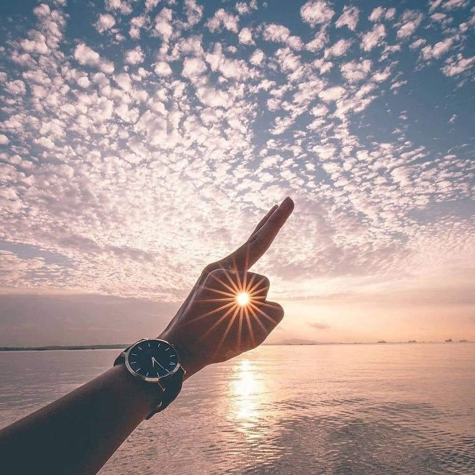 Свобода радость счастье