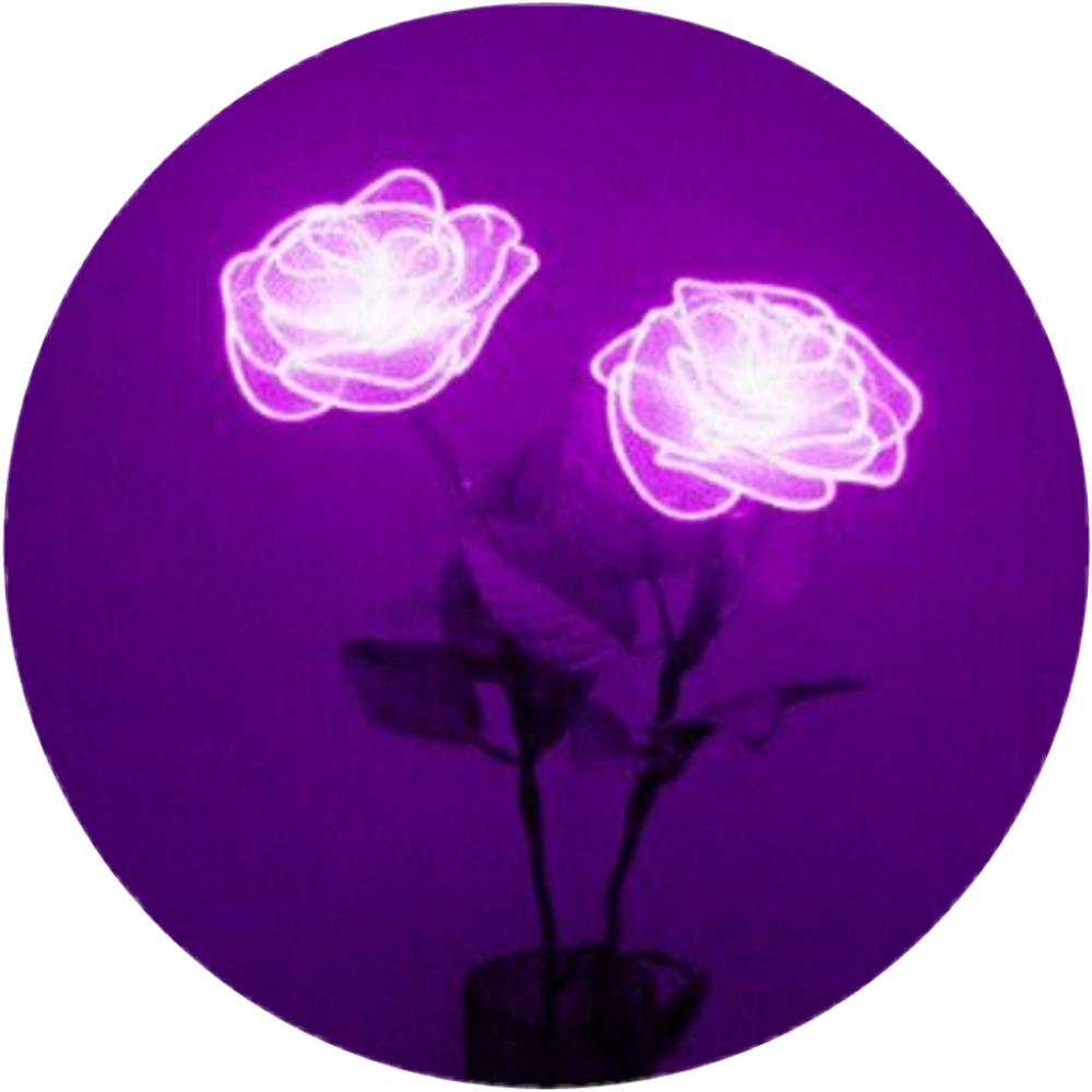 Аватарки для телеграмма цветы фото 94