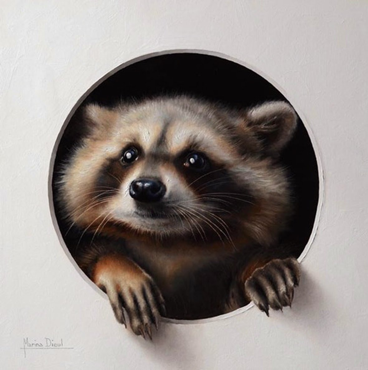 Марина Marina Dieul картины енот