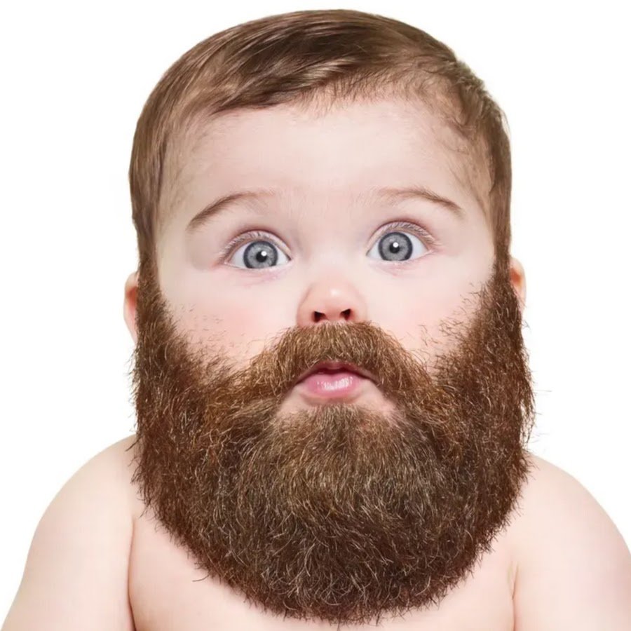 Дима борода