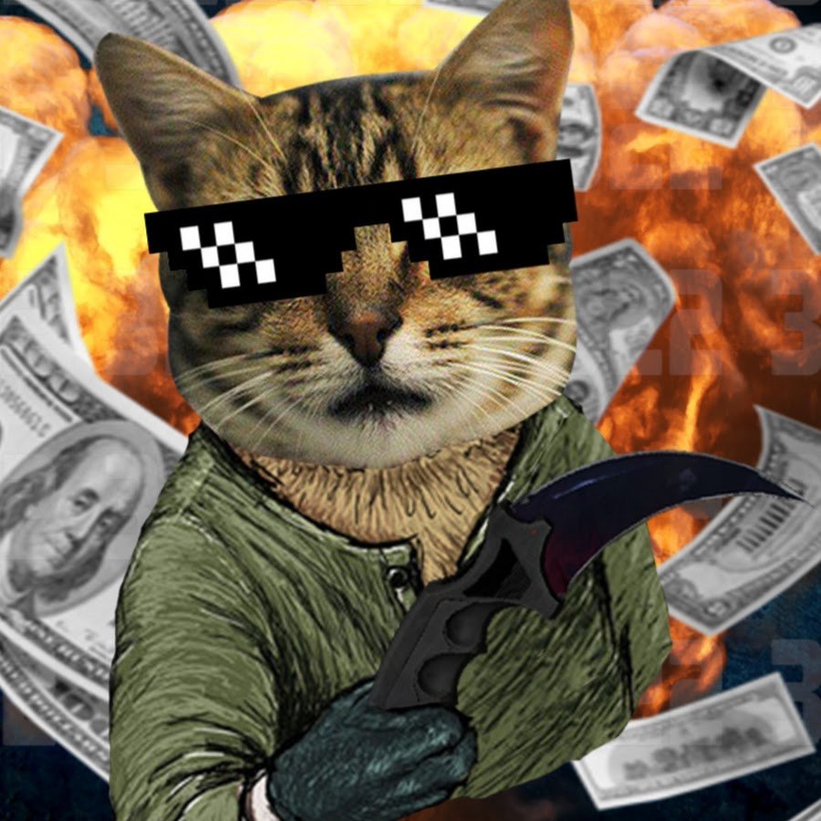 Крутой кот КС