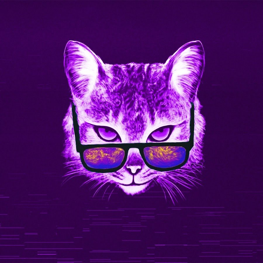Кот в очках арт