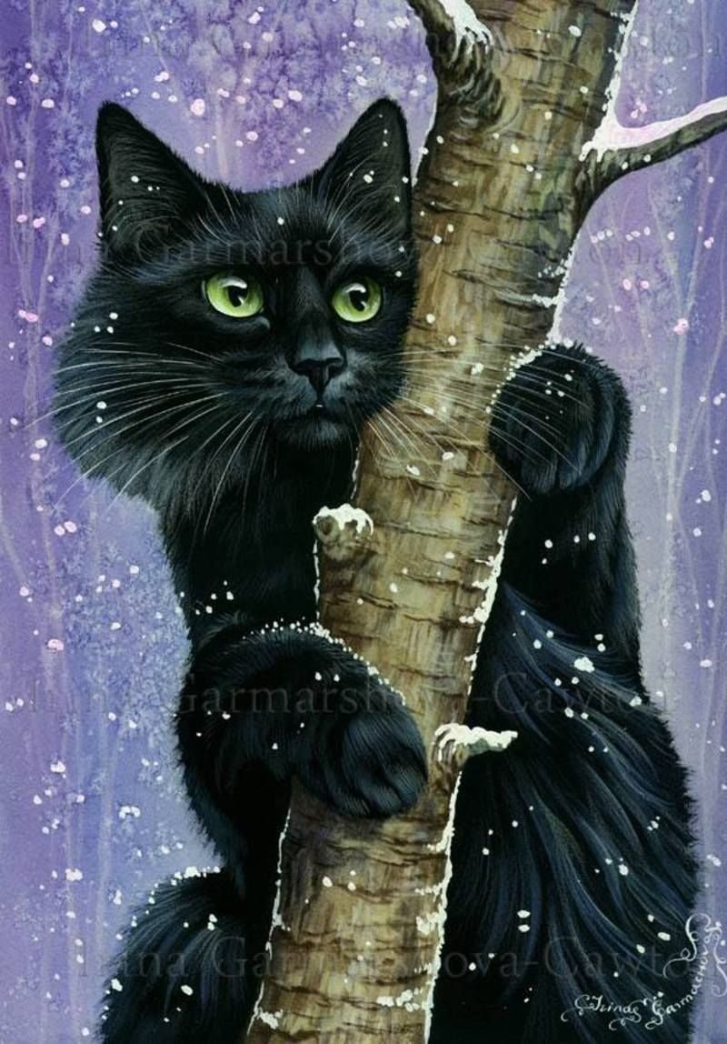 Фэнтези кошки