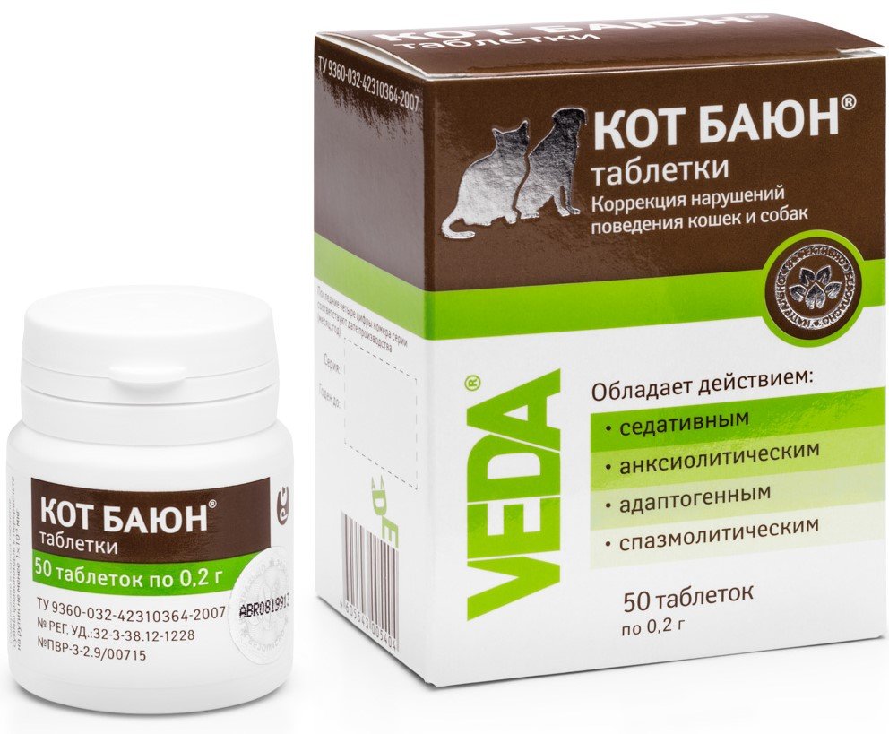 Ирина Гармашова художник картины