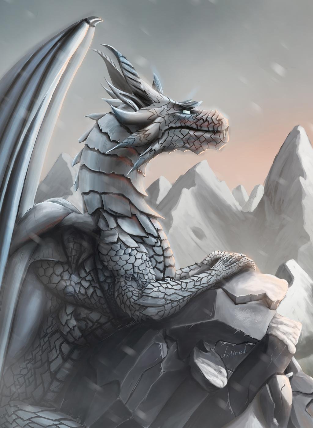 Сильвер драгон