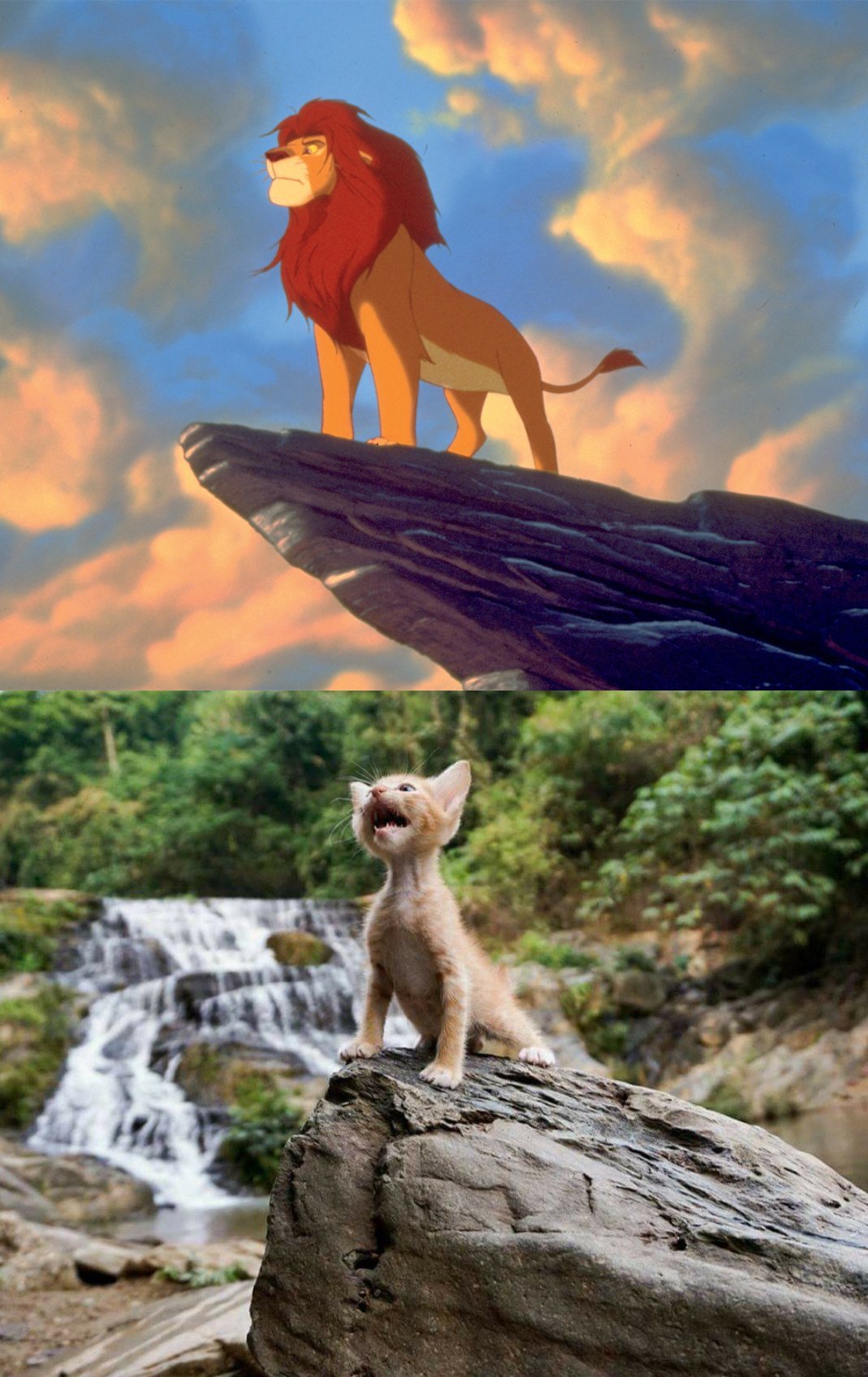 Король Лев 2019 Симба маленький