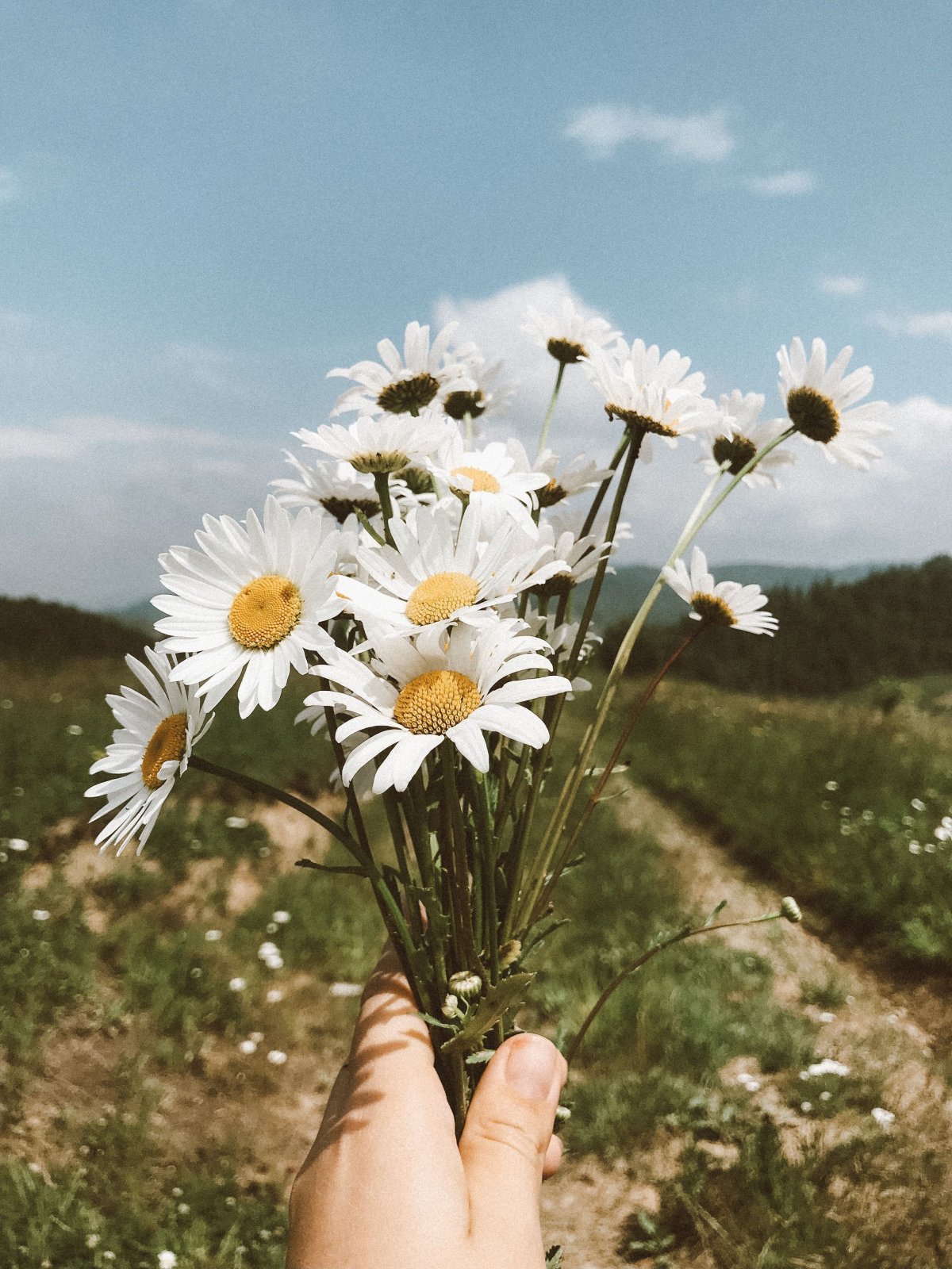 Нарисованная девушка со спины