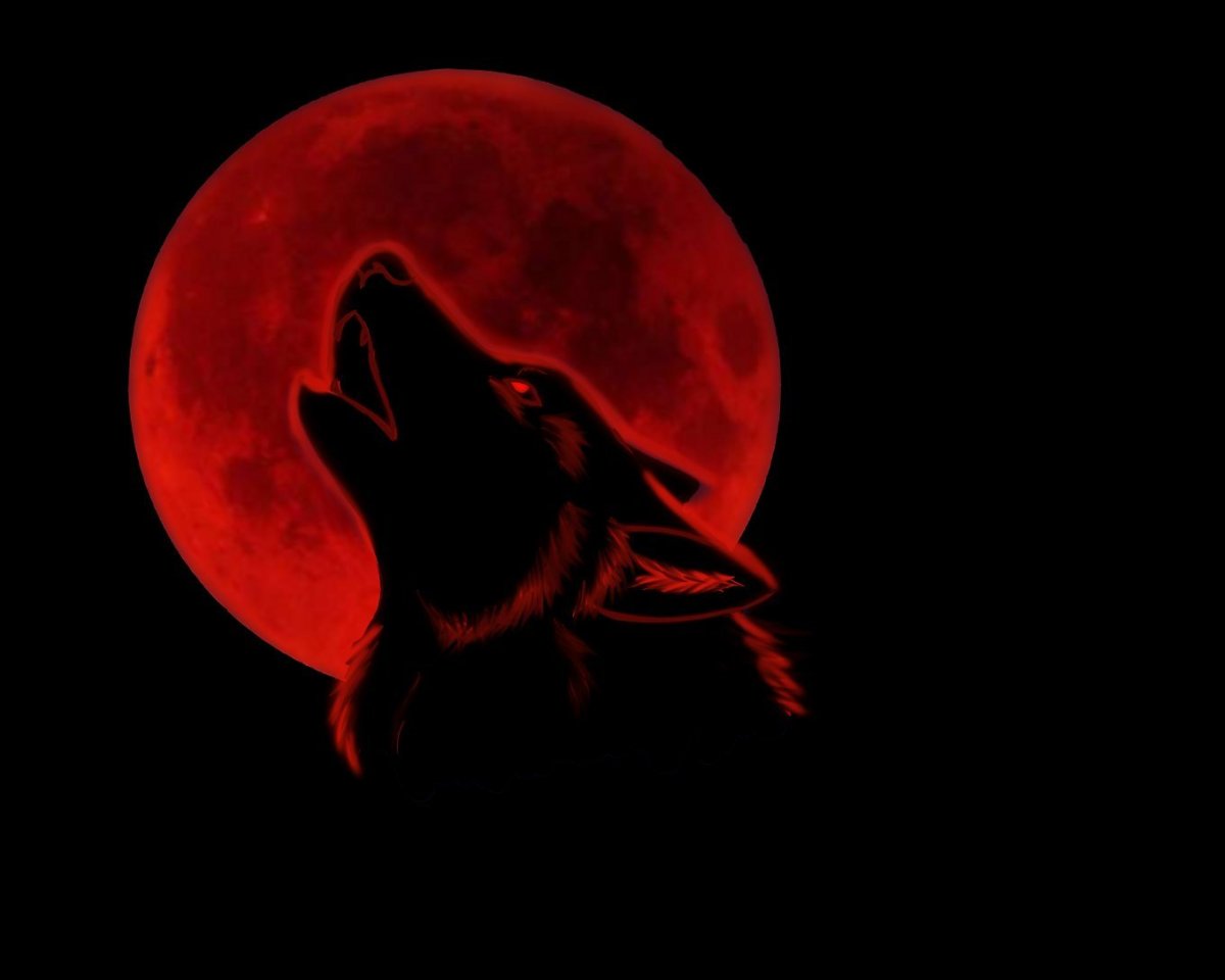 Волк на фоне красной Луны