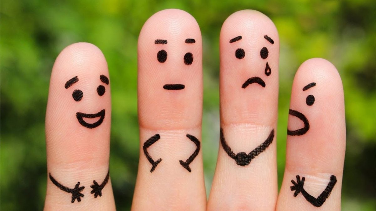 Темперамент картинки