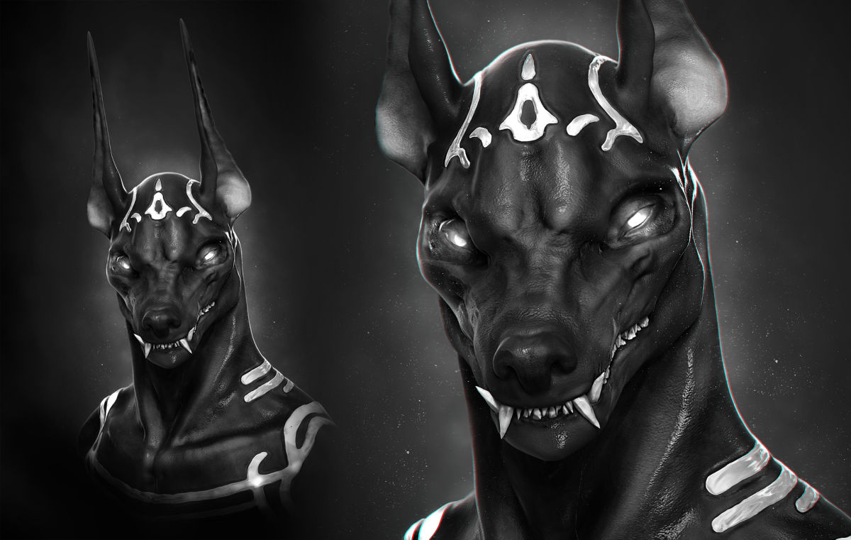 Доберман Эстетика