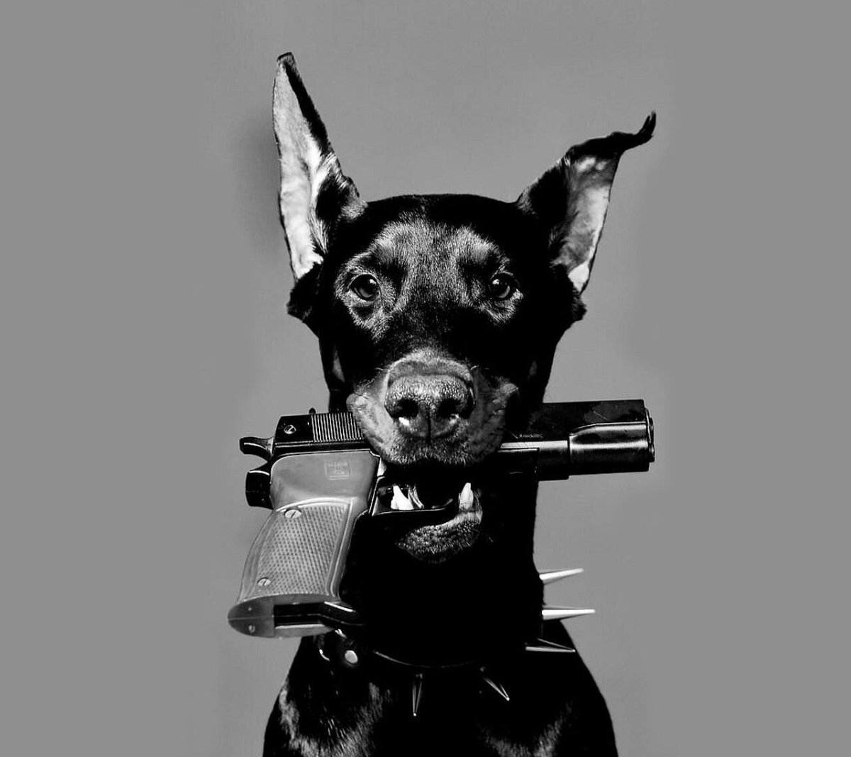 Тату Доберман