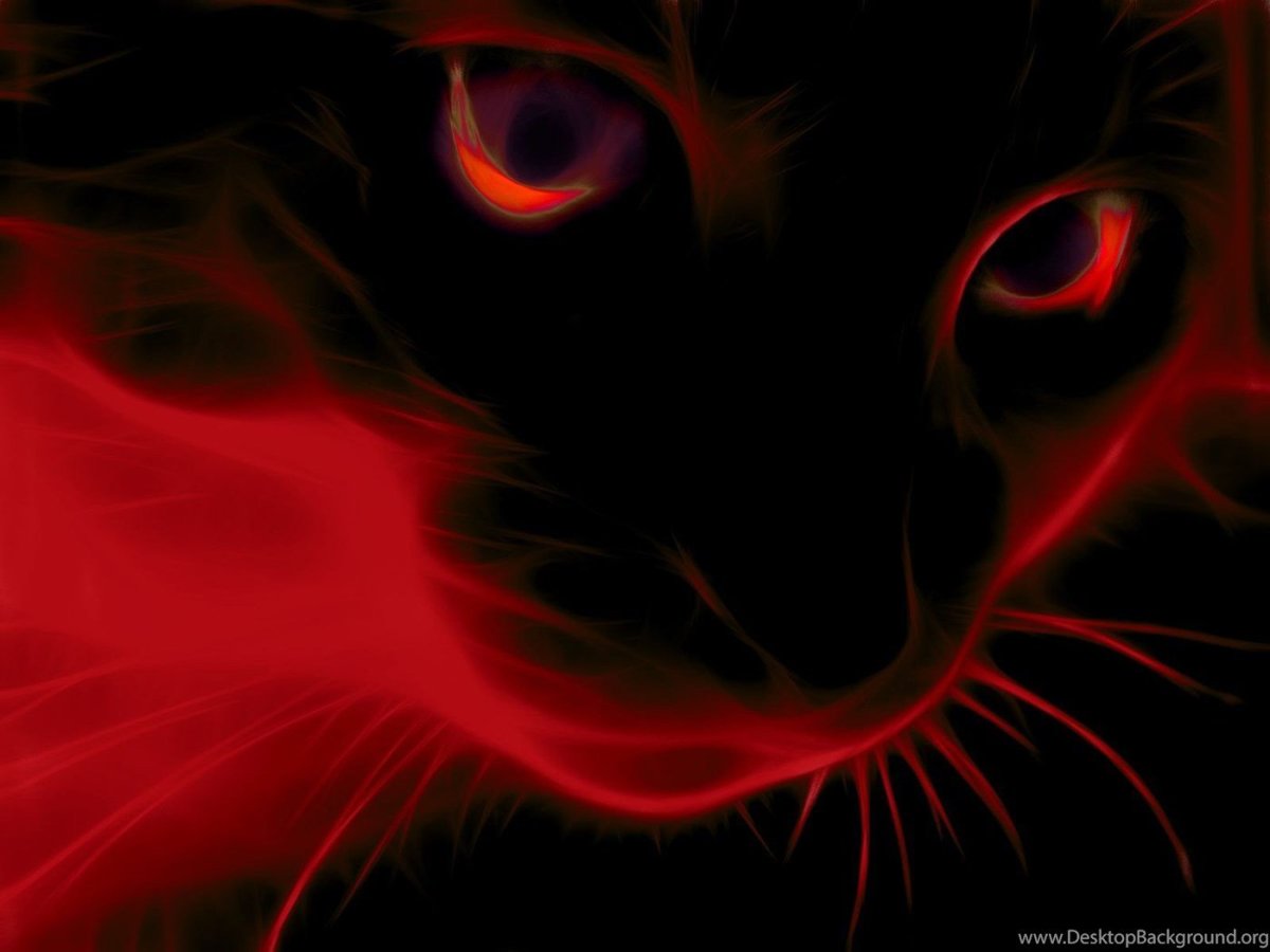 Чёрный кот с красными глазами