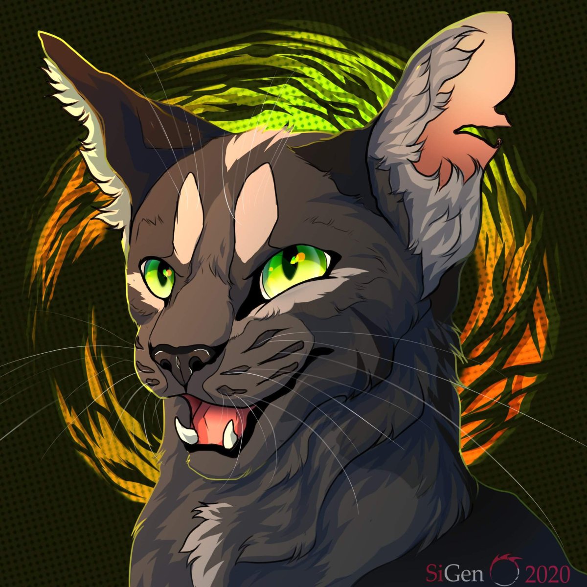 Коты Воители на аву