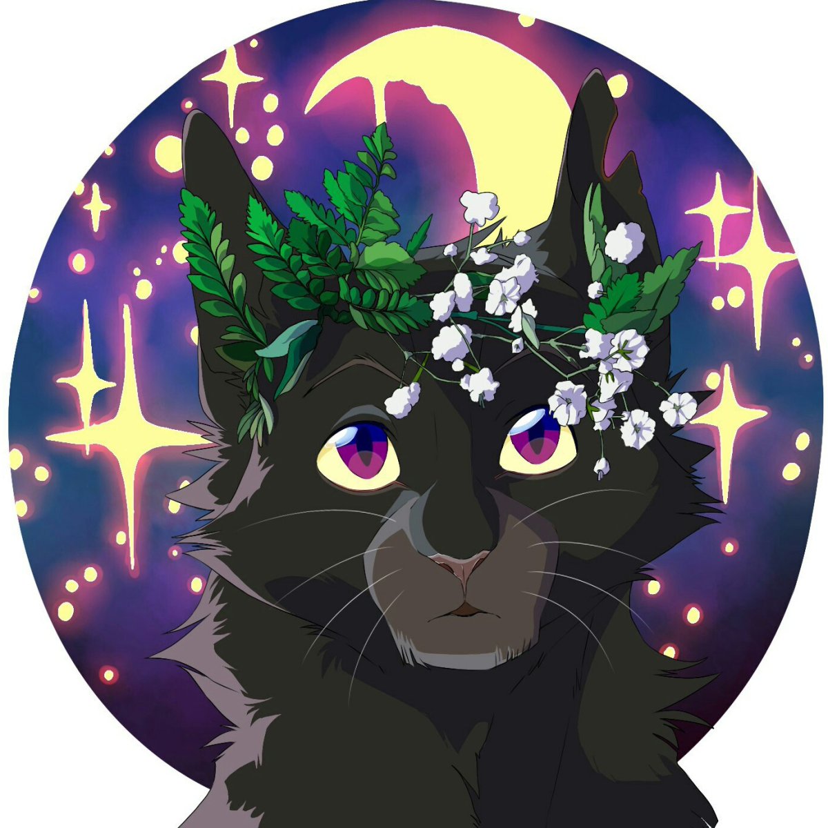 Ravenpaw коты Воители