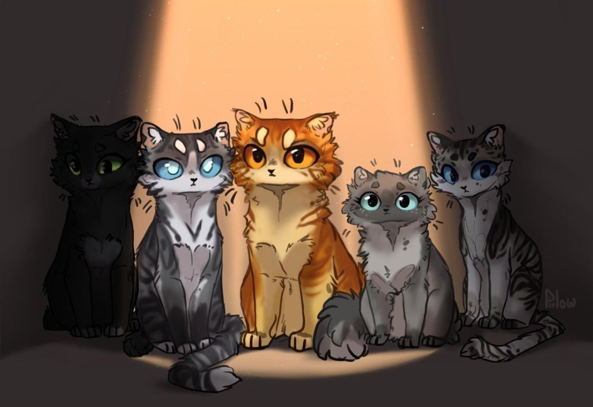 GRAYPILLOW коты Воители